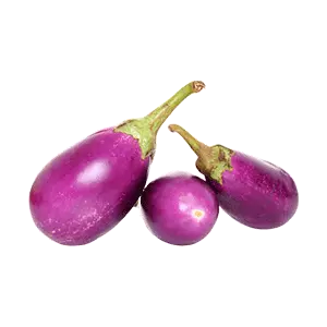 Brinjal Ujala