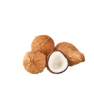 Coconut
