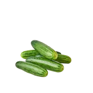 Hybrid Cucumber