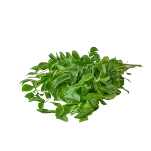 Curry Leaves