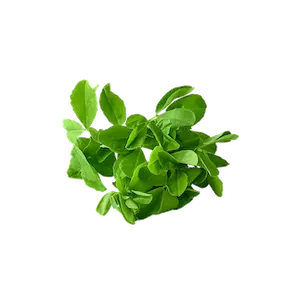 Methi - Greenhouse grown