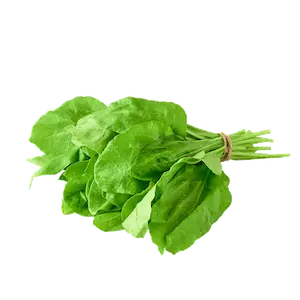 Spinach - Greenhouse grown