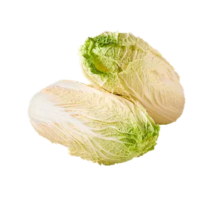 Chinese Cabbage