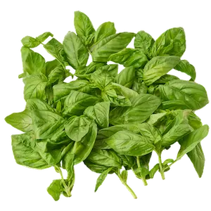 Italian Basil - Greenhouse grown