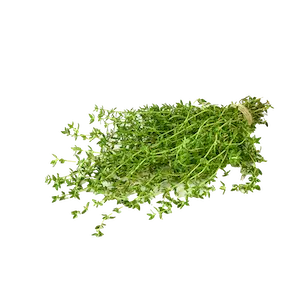 Thyme