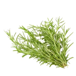 Rosemary