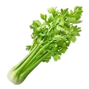 Celery - Greenhouse grown