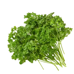 Parsley - Greenhouse grown