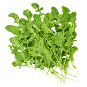 Rocket Lettuce - Greenhouse grown