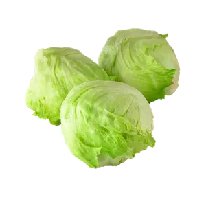 Iceberg Lettuce
