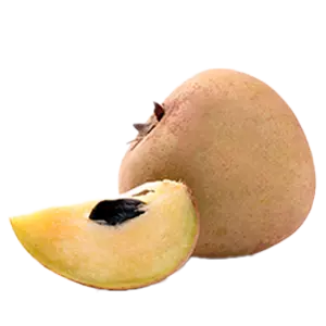 Sapota