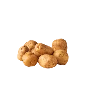 Potato