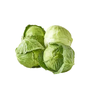 Cabbage
