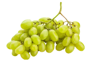 Grapes Sonaka