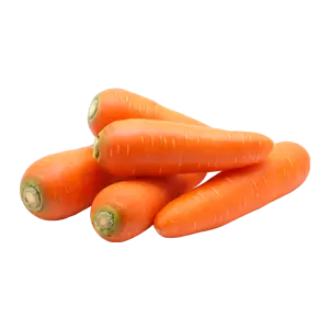Ooty Carrot