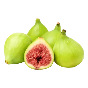 Fig