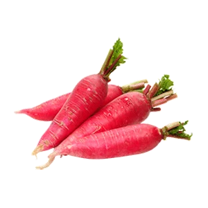 Ooty Red radish