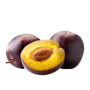 Plum Exotic