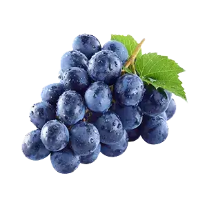Grapes Bangalore Blue