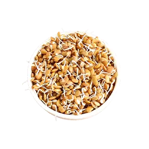 Horsegram Sprouts
