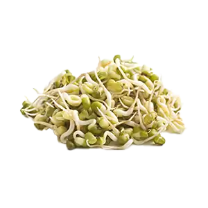 Mung Sprouts