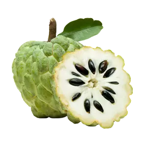 Custard Apple