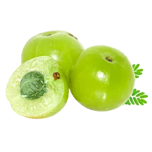 Amla