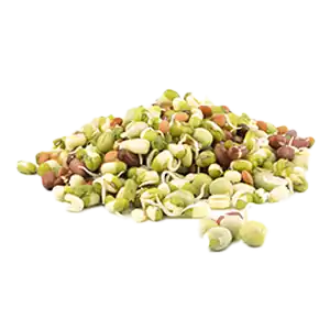 Mixed Sprouts