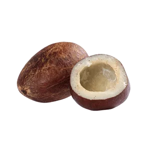 Dry Coconut