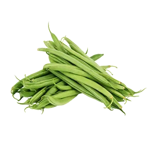 Haricot Beans - Greenhouse grown