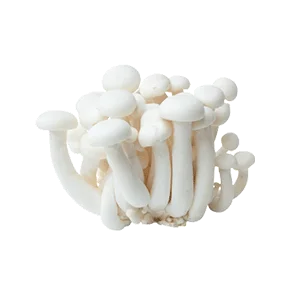 Shimeji White Mushroom
