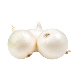 White Onion