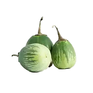 Mangalore Brinjal