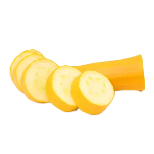Yellow Zucchini Cut