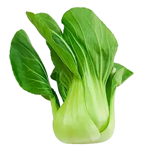 Baby Bokchoy