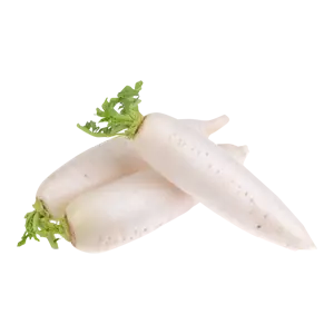 White Radish