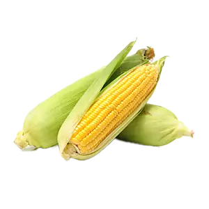 Sweetcorn