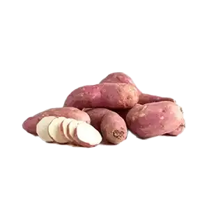 Sweet Potato