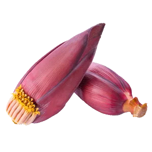 Banana Flower