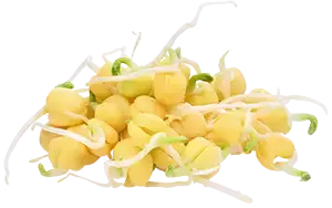 White Pea Sprouts