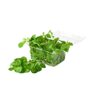Easy Cook Mint