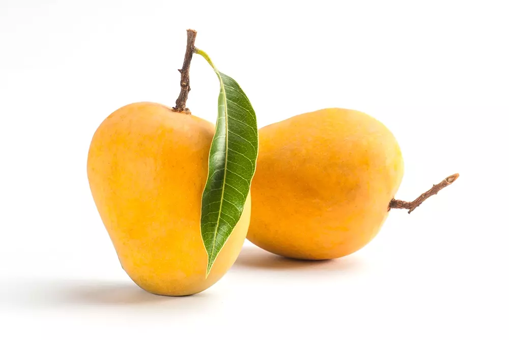 Alphonso Mango- The King of Kings